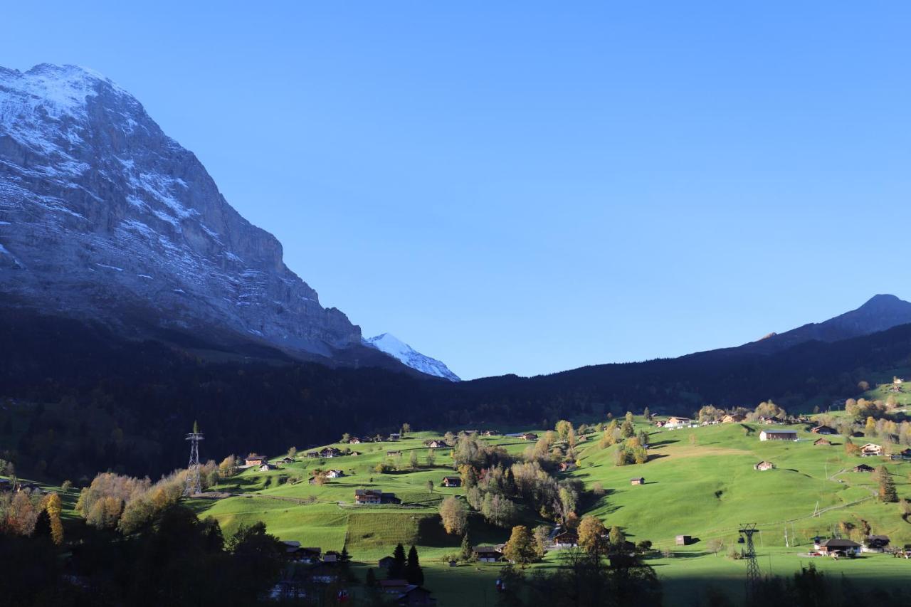Excellent Flat With A Fantastic View Of The Eiger! Διαμέρισμα Γκρίντελβαλντ Εξωτερικό φωτογραφία